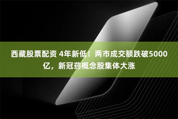 西藏股票配资 4年新低！两市成交额跌破5000亿，新冠药概念股集体大涨