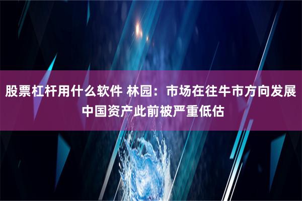 股票杠杆用什么软件 林园：市场在往牛市方向发展 中国资产此前被严重低估