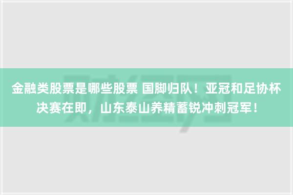 金融类股票是哪些股票 国脚归队！亚冠和足协杯决赛在即，山东泰山养精蓄锐冲刺冠军！