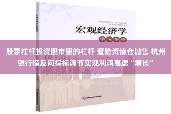 股票杠杆投资股市里的杠杆 遭险资清仓抛售 杭州银行借反向指标调节实现利润高速“增长”