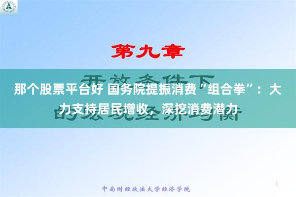 那个股票平台好 国务院提振消费“组合拳”：大力支持居民增收，深挖消费潜力