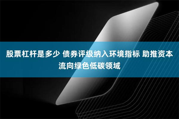 股票杠杆是多少 债券评级纳入环境指标 助推资本流向绿色低碳领域