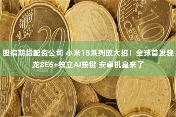 股指期货配资公司 小米18系列放大招！全球首发骁龙8E6+独立AI按键 安卓机皇来了